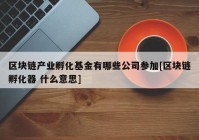 区块链产业孵化基金有哪些公司参加[区块链孵化器 什么意思]